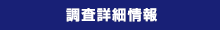 ランキング調査詳細情報